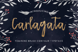 Carlagata: The Font That Elevates Your Brand
