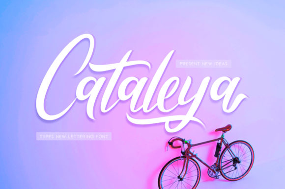 Cataleya: A Script Font for Creative Campaigns and Branding