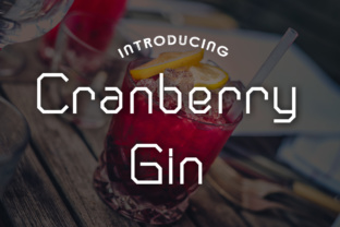 Cranberry Gin: A Modern Sans Serif Font for Editorial Design