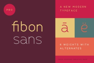 Fibon: The Font That Elevates Your Brand’s Visual Identity