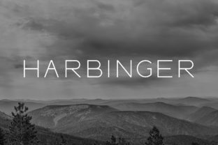 Harbinger: A Sans Serif Font That Elevates Digital Branding