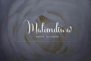 Malemdiwa: The Script Font That Elevates Your Brand’s Visual Story