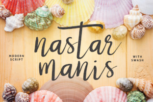 Nastar: A Script Handwritten Font for Polished Branding
