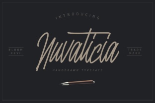 Nuvanticia: A Script Font for Creative Campaigns