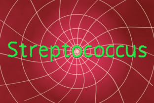 Streptococcus: A Playful Sans Serif Font for Branding and Design