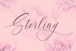 Stylish Fonts for Small Business Branding: Why Sterling Is a Must-Have