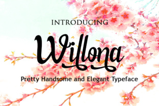 Willona: The Font That Elevates Your Brand’s First Impression