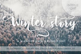 Winter Story: A Script Font That Elevates Your Brand’s Visual Identity